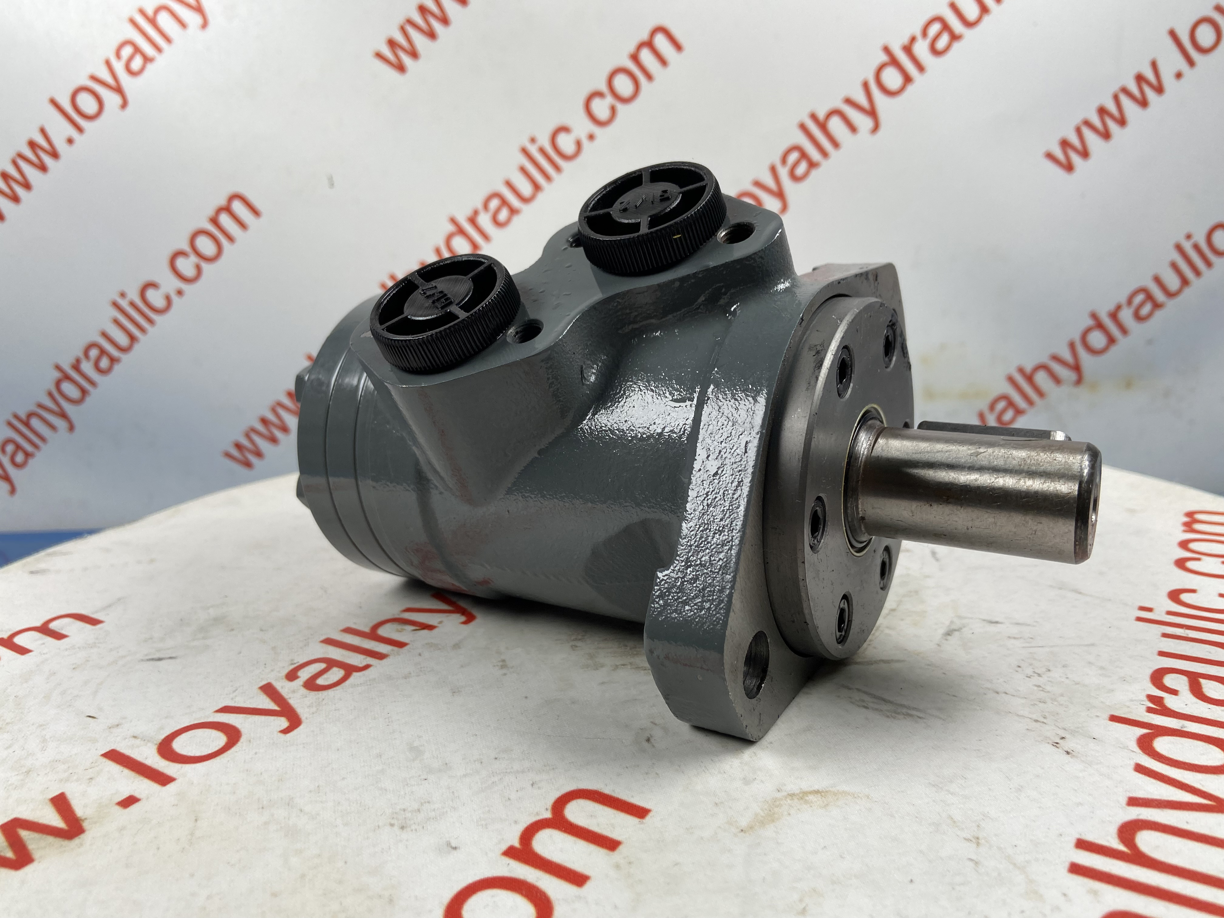 4 BREVINI BG 080 S 2A CL250 HYDRAULIC MOTOR 4 BREVINI BG 080 S 2A CL250 HYDRAULIC MOTOR