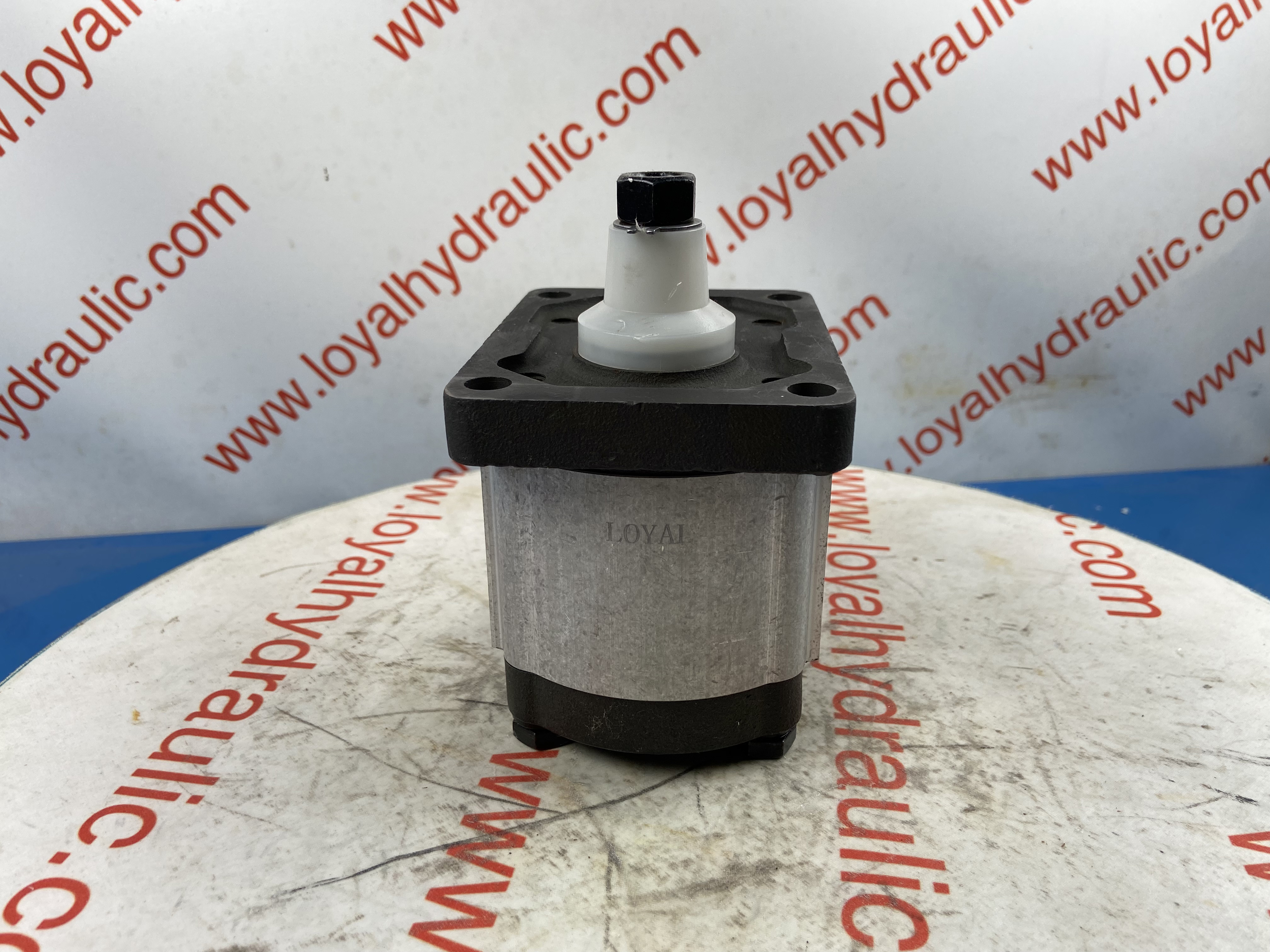 Rexroth,Parker,Buchi,Carproni,Vivolo,Duplomatic,CAT and Casappa hydraulic gear pump for agricultural machinery,tractor,crawler excavator,harvester